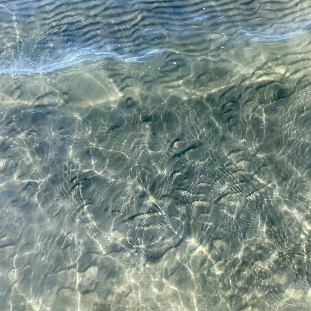 Verschmitzt Am Meer * Bensersiel