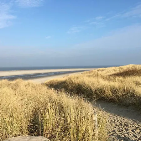 Verschmitzt Am Meer *