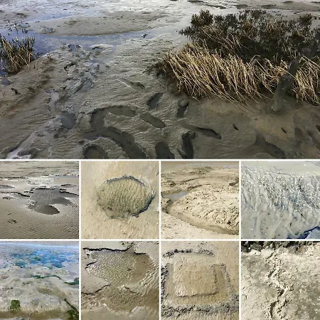 Verschmitzt Am Meer *