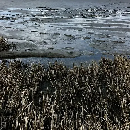 Verschmitzt Am Meer * Bensersiel