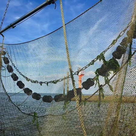 Verschmitzt Am Meer Bensersiel