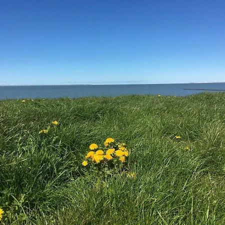 Verschmitzt Am Meer